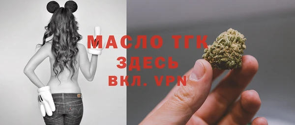 гидра Верхний Тагил