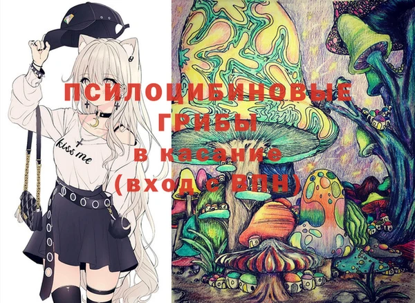спиды Богородск