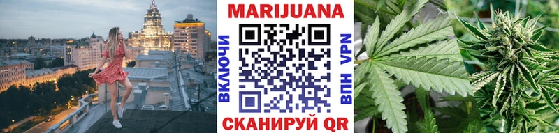купить   Пересвет  Конопля план 